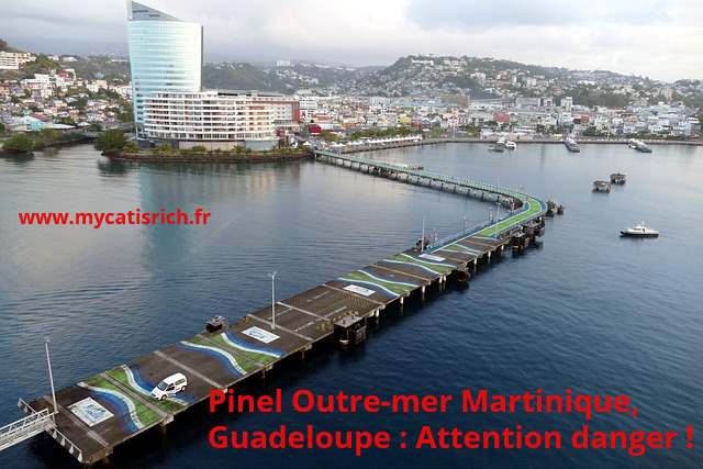 Pinel Outre Mer Martinique Guadeloupe