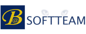 logo Bsoft Team